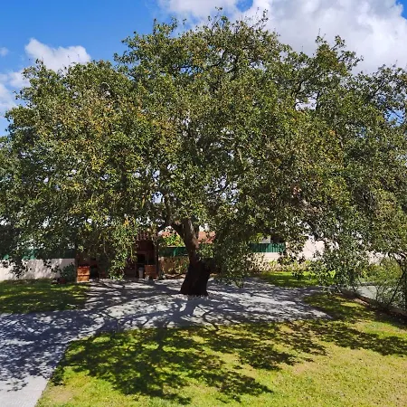 Old Cork Tree Villa Setubal